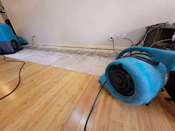Professional Flood Damage Cleanup technician working in Lacona, IA